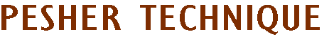 Pesher Technique